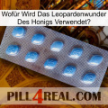 Wofür Wird Das Leopardenwunder Des Honigs Verwendet viagra3